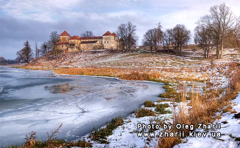 Львовская область, Свиржский замок
