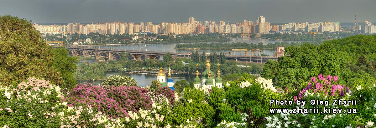 Kyiv, Blooming Lilac in M.M.Gryshko National Botanical Garden of NAS of Ukraine